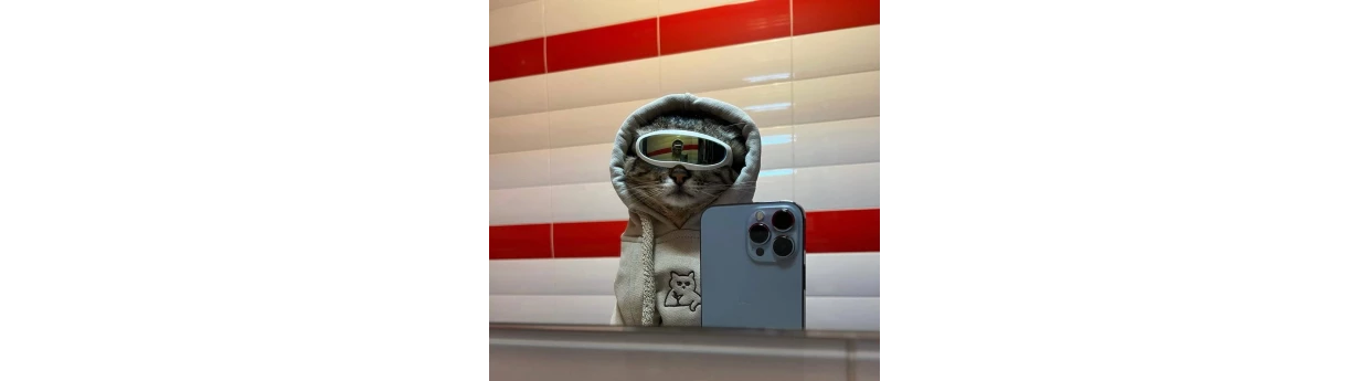 User Profile Image
